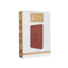 KJV Holy Bible